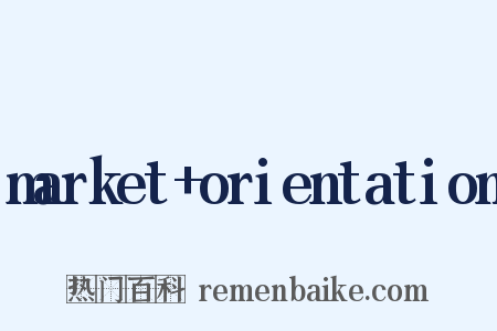 market+orientation是什么意思的图片